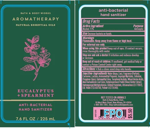Anti-Bacterial Hand Eucalyptus Spearmint 포장