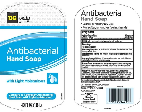 DG BODYANTIBACTERIAL 포장