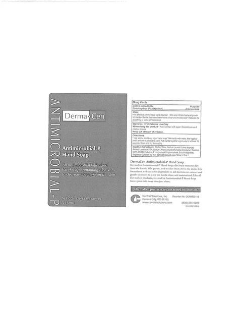 DermaCen Antimicrobial-P Hand 포장