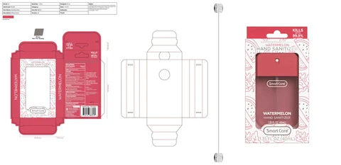 Smart Care Hand Sanitizer Watermelon 포장