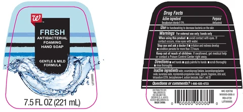 Walgreens Fresh Antibacterial Foaming Hand packaging