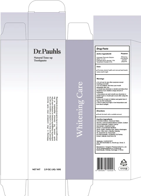 DR.PAUHLS NATURAL TONE UP TOOTH 포장