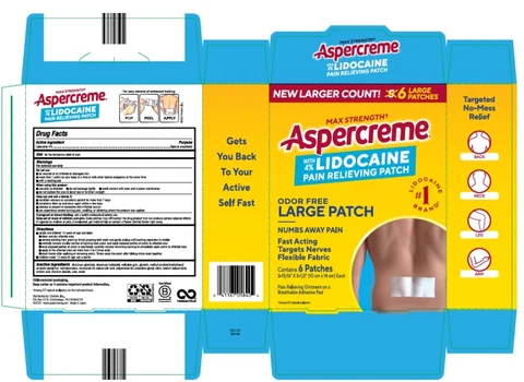 Aspercreme with Lidocaine 포장