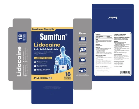 Lidocaine Pain Relief Gel-Patch packaging