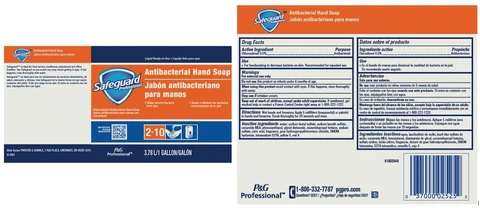 Safeguard Antibacterial Hand 포장