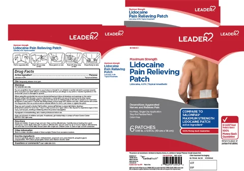 Leader PAIN RELIEF PATCHES packaging