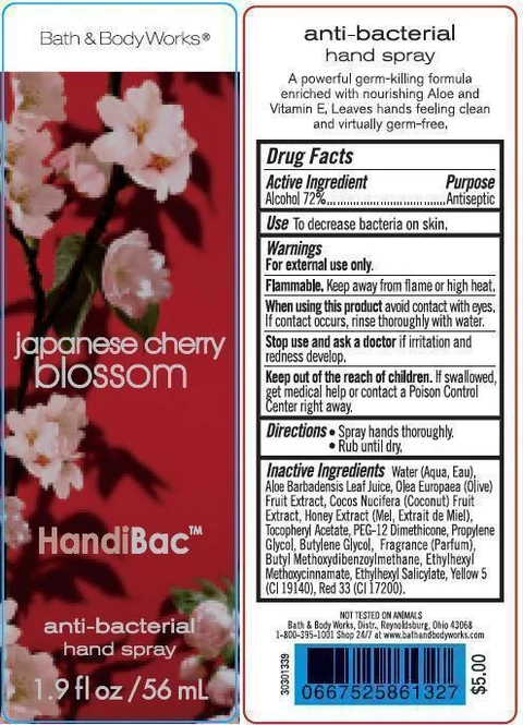Anti-Bacterial HandJapanese Cherry Blossom 포장