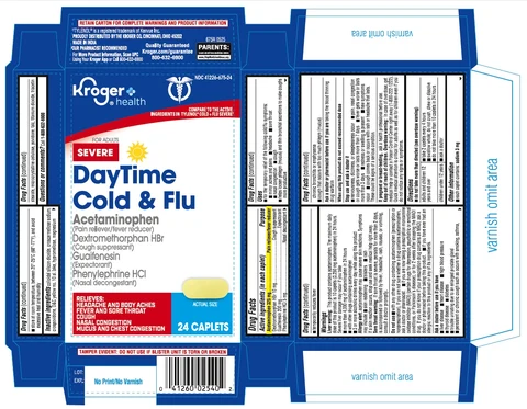 Daytime Cold and Flu 포장