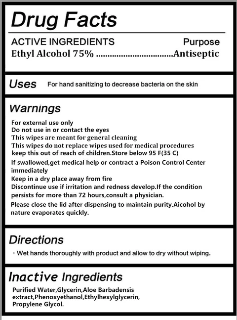 Antibacterial Wet Wipes 포장