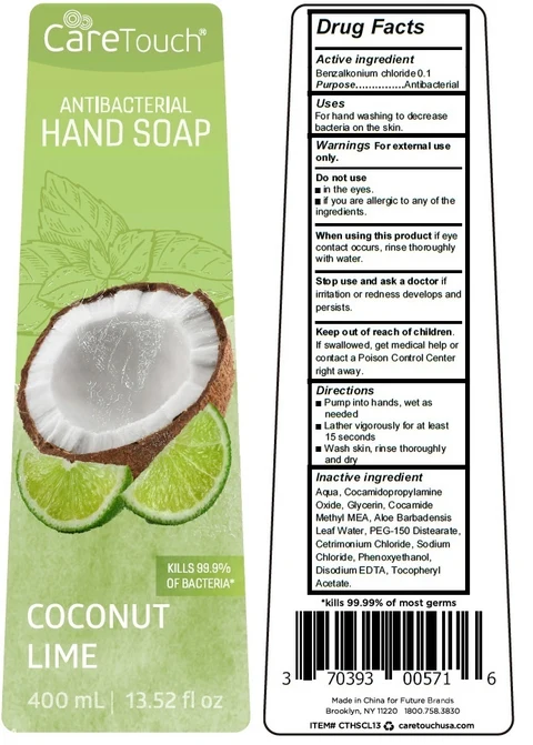 Care Touch Antibacterial Handsoap Coconut Lime 포장