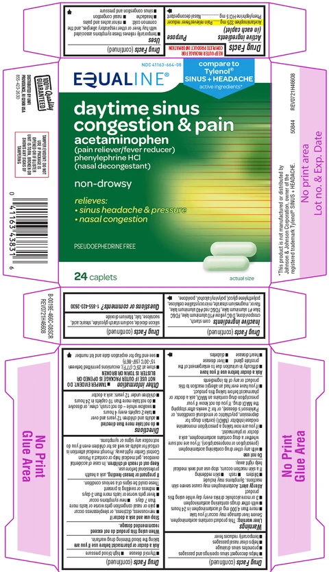Sinus Congestion and PainDaytime 포장