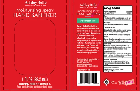 AshleyBelle Moisturizing Hand Sanitizer Watermelon Aloe 포장