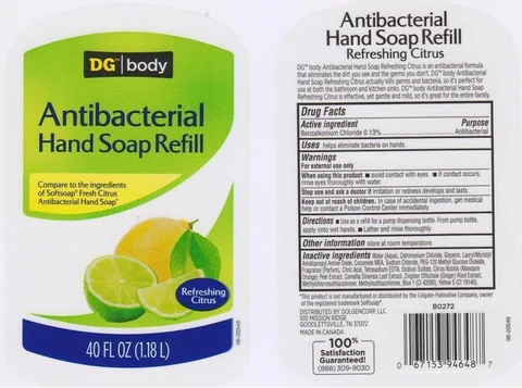 DG BODYREFRESHING CITRUS 포장