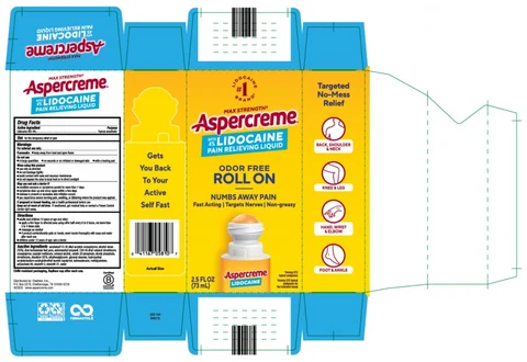 Aspercreme with Lidocaine No-Mess Applicator / Aspercreme with lidocaine No-Mess Applicator Two Pack 포장
