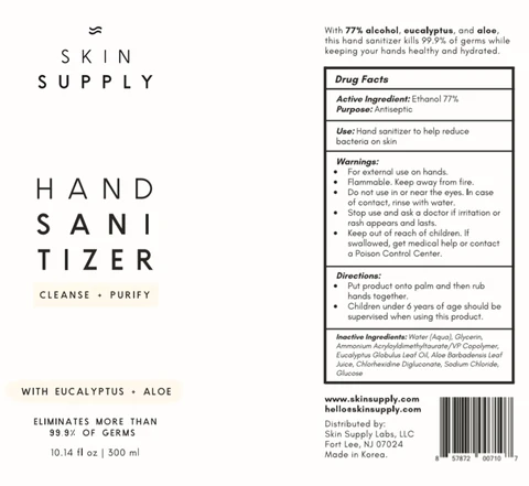 SKIN SUPPLY HAND SANITIZER 포장