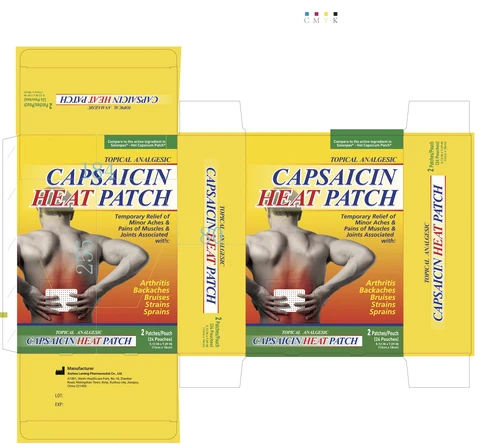 0.025% Capsaicin Pain relief Patch 포장