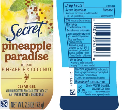 Secret Pineapple Paradise Pineapple and Coconut Clear 포장