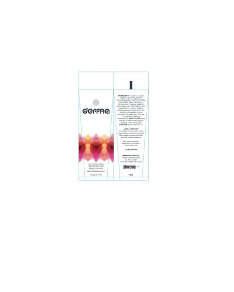 Derma Lip Plumper Balm 포장
