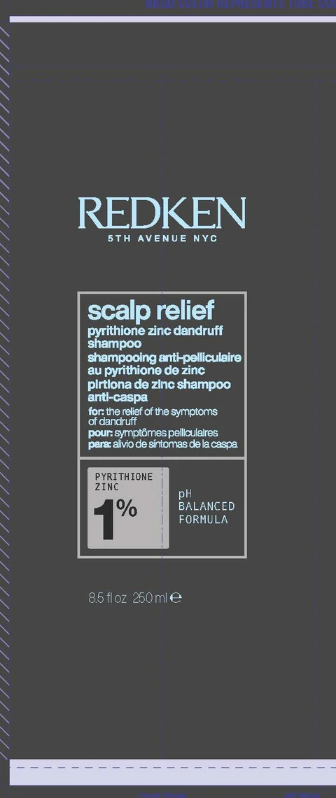 Redken 5th Avenue NYC Scalp Relief Dandruff Control 포장