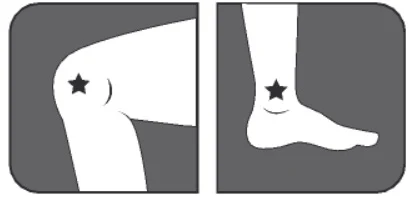 leaflet image 21