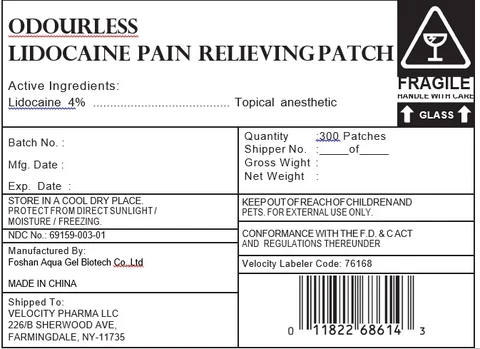 Lidocaine Patch packaging