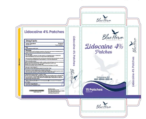 Lidocaine 4% Patch packaging