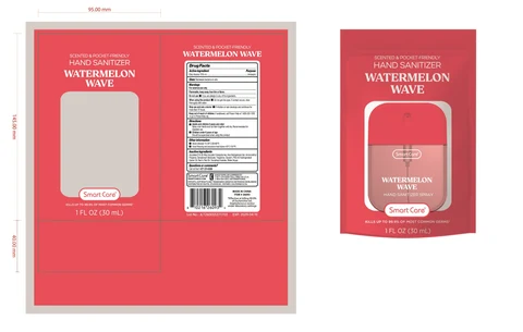 Smart Care Hand Sanitizer Watermelon Wave 포장