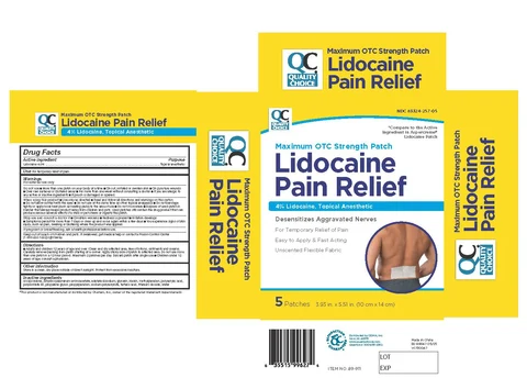 Quality Choice Lidocaine Pain Relief Patch 포장