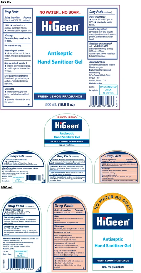 HiGeen Antiseptic Hand Sanitizer Gel FRESH LEMON FRAGRANCE 포장