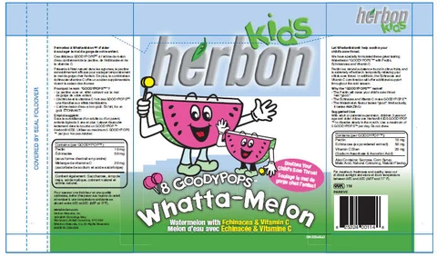 Herbon Berry Buddies/Watermelon Goodypops 포장