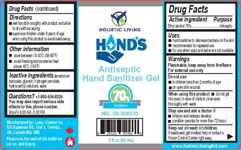 HANDS Antiseptic Hand Sanitizer Gel 포장