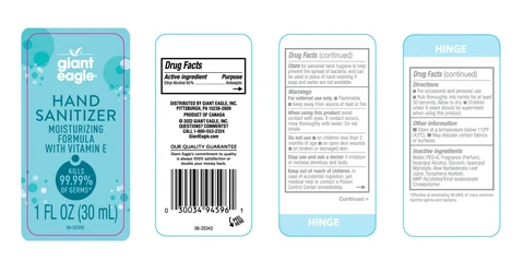Hand Sanitizer packaging