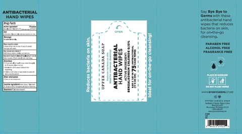 Bye Bye Germs Antibacterial Wipes packaging