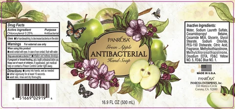 Antibacterial Hand Green Apple Scented 포장