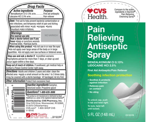 CVS Pain Relieving First Aid Antiseptic 포장