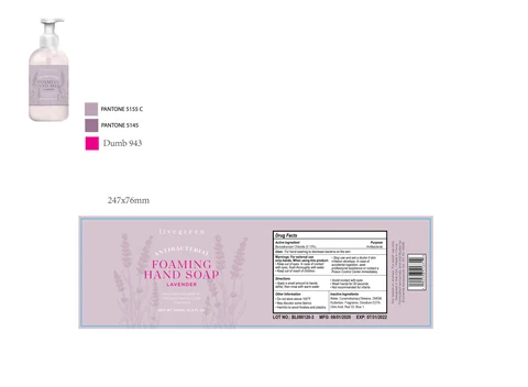 LIVEGREEN LAVENDER ANTIBACTERIAL FOAMING HAND packaging