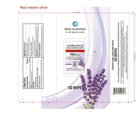 BB1721C 75% ALCOCHOL BASED ANTIBACTERIAL HAND WIPES LAVENDER SCENTEDBB1721C 포장