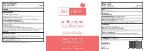 All Clean Natural Antibacterial Foaming Hand Wash 포장