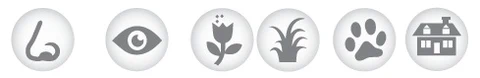 leaflet-image-3.jpg