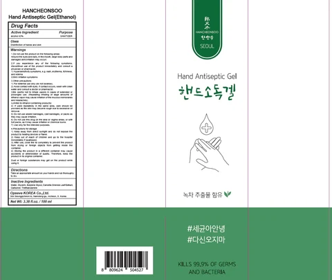 HANCHEONSOO Hand Antiseptic 포장