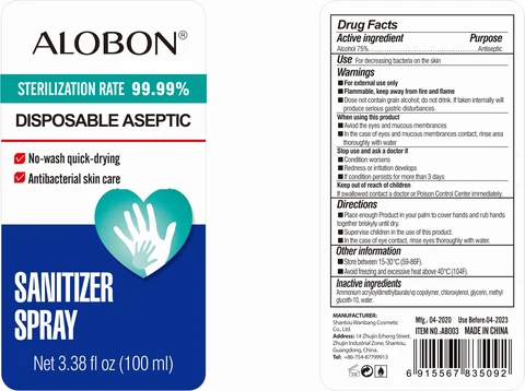 ALOBON SanitizerSpray 포장