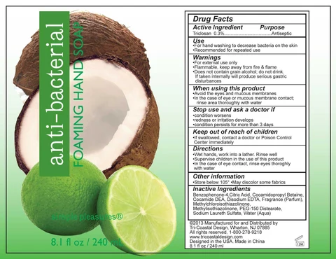 simple pleasuresantibacterial foaming hand 포장