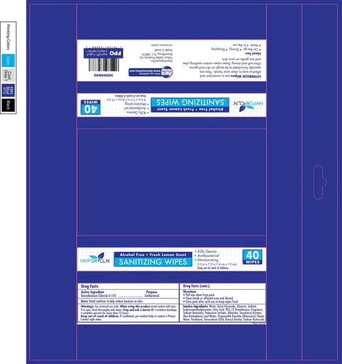 Hypercln Sanitizing Wipes 포장