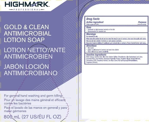 Highmark Professional Gold and Clean Antimicrobial Ltn Sp 포장