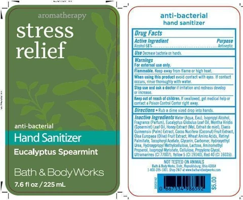Anti-Bacterial Hand SanitizerEucalyptus Spearmint 포장