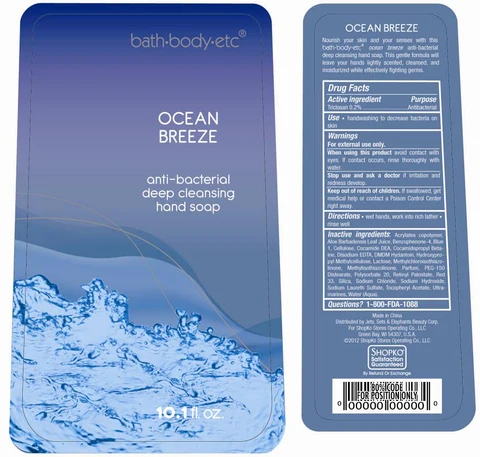 Shopko Antibacterial Deep Cleansing Hand 포장