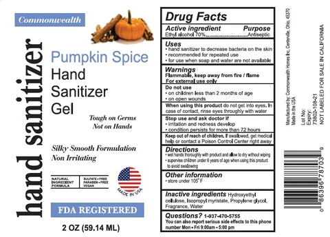 Commonwealth Pumpkin Spice Hand Sanitizer 포장