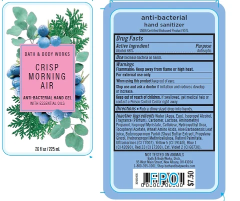 Anti-Bacterial Hand Crisp Morning Air 포장