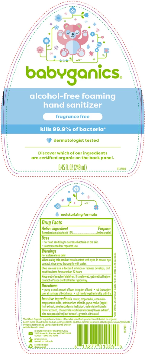 BabyGanics Alcohol-Free Foaming Hand Sanitizer 포장