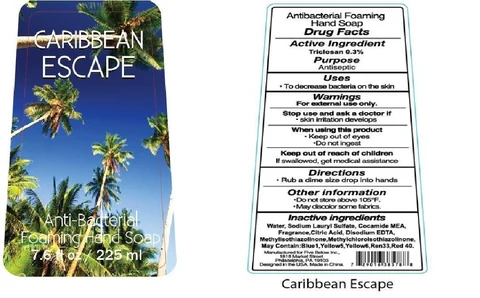 Caribbean Escape Anti Bacterial Foaming Hand 포장